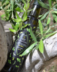 Gli Aromatici