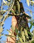 Tramas - Extra virgin olive oil 250 ml