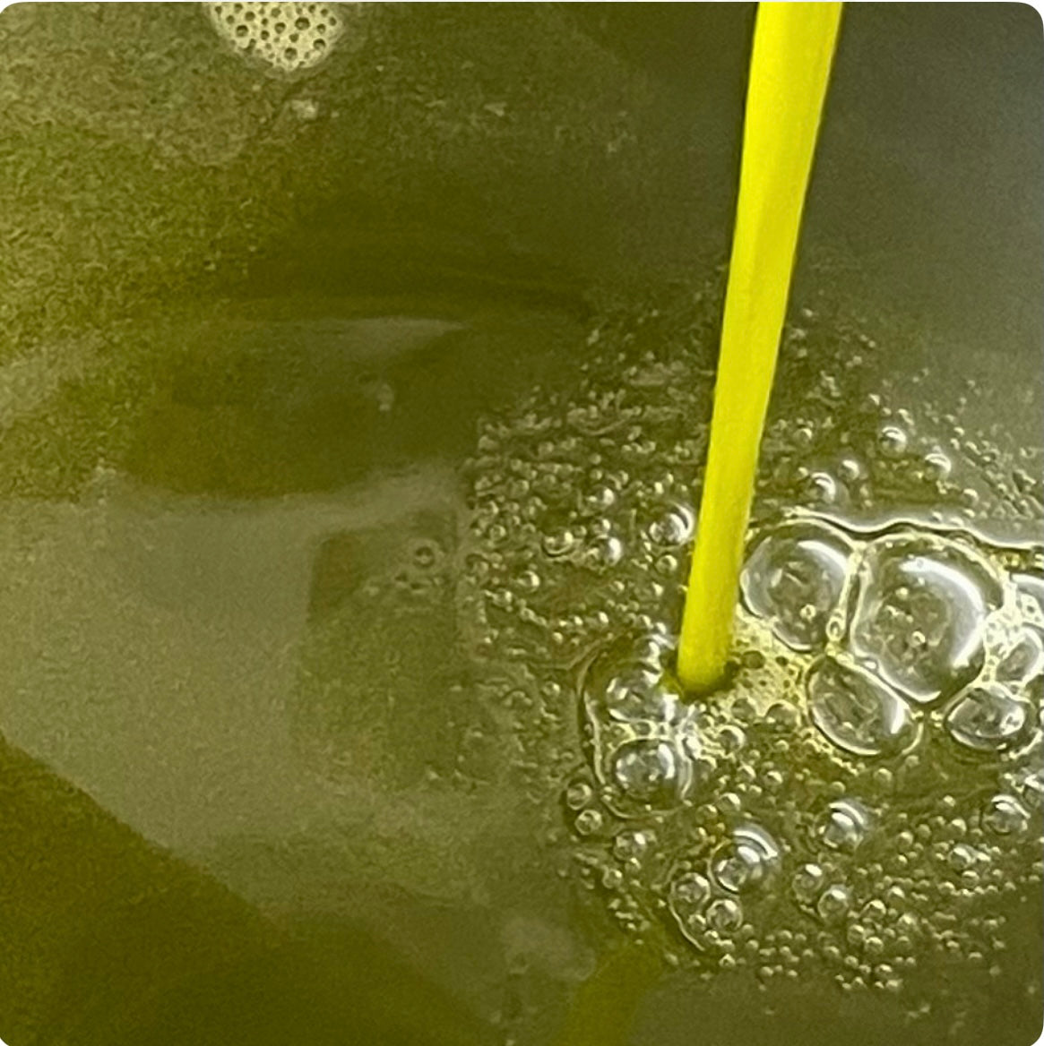Olio extra vergine di oliva