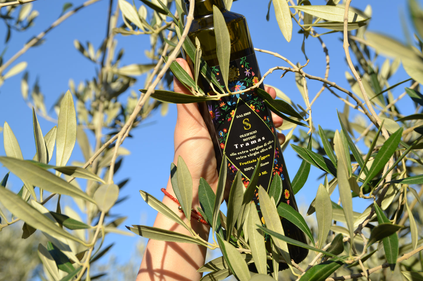 Tramas - Extra virgin olive oil 500 ml 